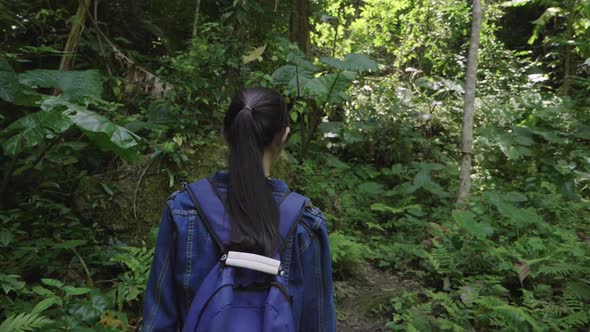 Young Woman Hiking In The Forest