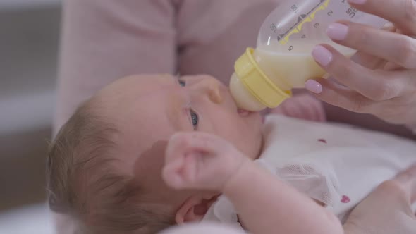 Closeup Portrait Newborn Baby Eating Milk From Bottle Lying in Female Hands