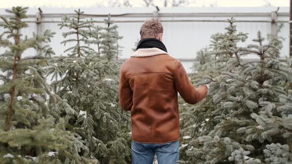 Handsome Man in Stylish Wearing Is Using a Notepad and Choosing Christmas Tree at Market