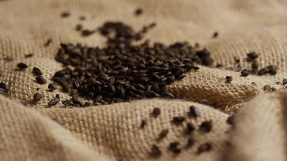 Rotating shot of barley and other beer brewing ingredients - BEER BREWING