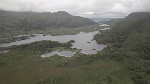 Creeping in to lush landscape of Ladies view Kerry valley Ireland