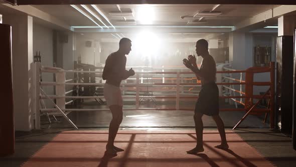 Kickboxing Man Boxers Train in Sparring They Performs Strikes with Their Feet Training Day in the