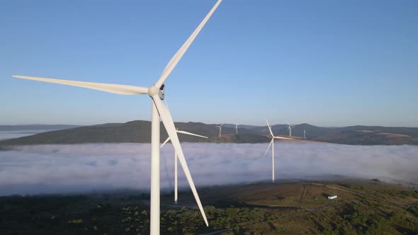 Wind Farm in the Morning Fog