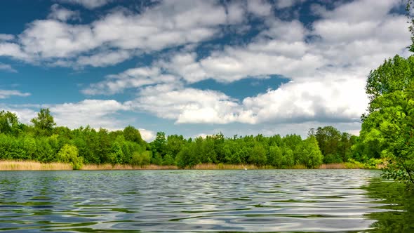 Calm lake in green city park.