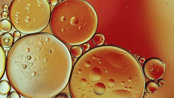 Abstract Colorful Food Oil Drops Bubbles 242 alt