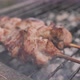 Meat Slices on Wooden Skewers Fried Outdoors on the Grill. Juicy Kebab Meat Dish in Cinematic Smoke. - VideoHive Item for Sale