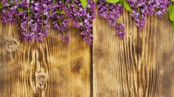 Branches of Fresh Fragrant Lilacs Lie on a Burnt Wooden Background