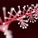 DNA Ruby Background - VideoHive Item for Sale