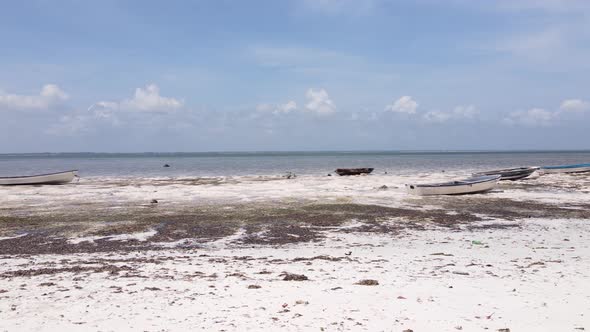 Shore of Zanzibar Island Tanzania at Low Tide