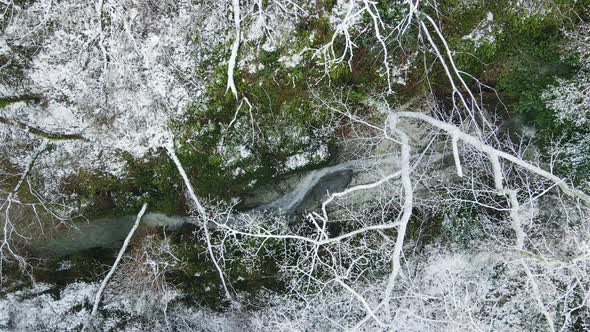 Stream of Water Flowing Among the White Rocks in the Forest in Winter