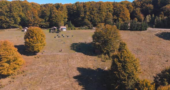 Aerial View Of The Camping Ground Surrounded With Thick Forest