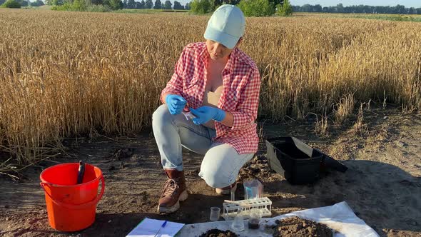 Woman Agronomist Performing Soil Acidity Test Outdoors at Sunrise