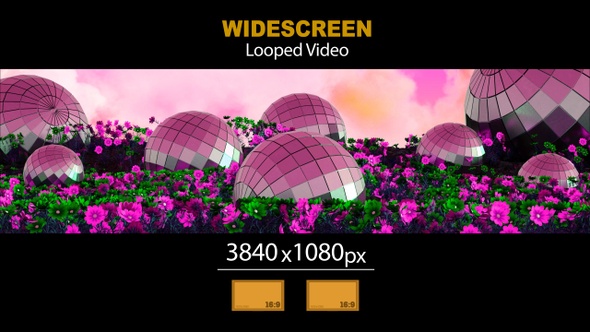 Widescreen Mirror Balls In Flowers 02