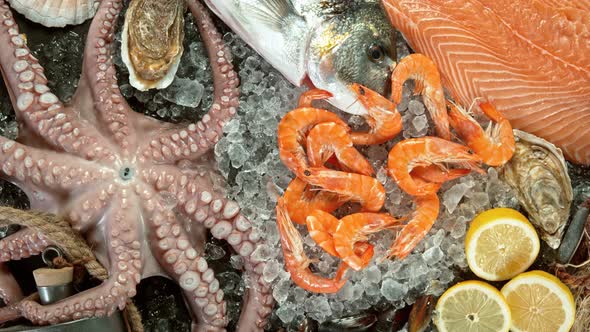 Super Slow Motion Shot of Falling Fresh Prawns Into Crushed Ice at 1000 Fps