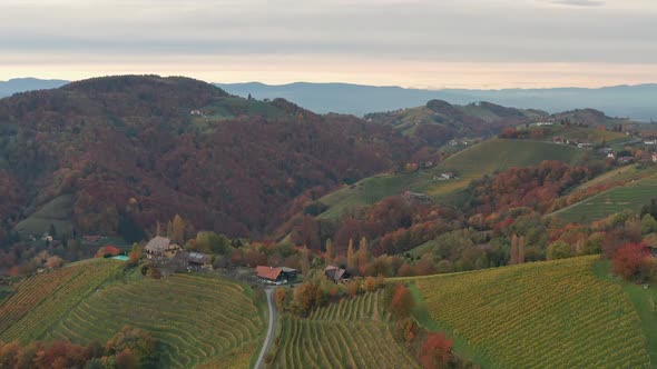 Aerial View of Austrian Vilage Kitzeck Im Sausal on Vineyard Durring Autumn Sunset Region in Styria