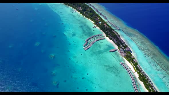 Aerial top down abstract of tranquil bay beach wildlife by transparent sea with white sandy backgrou