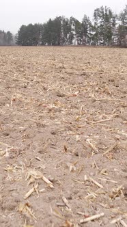 Vertical Video of a Field with Plowed Land in Autumn Slow Motion