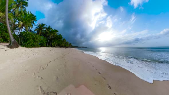 Tropical Island with Beach