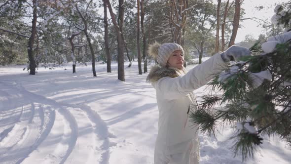 Nice Girl in Winter Down Coat is Crushing Snow From Pine Branch and Rejoices