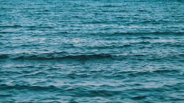 Sea