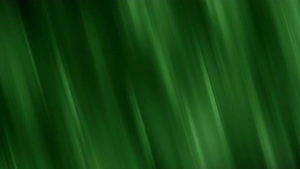 Green Animated Background Animation