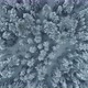 Aerial View of Winter Forest Snow Covered Frozen Trees Top Down Drone - VideoHive Item for Sale