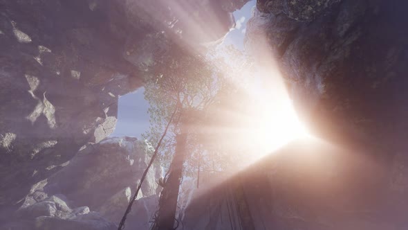 Sun Light Inside Mysterious Cave alt