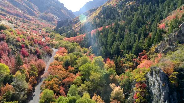 Flying up colorful canyon during autumn in Utah