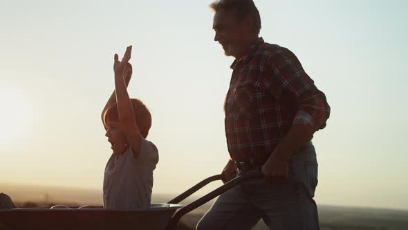 Video of grandfather driving grandson in wheelbarrows at sunset. Shot with RED helium camera in 8K.