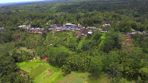 Aerial view of Tegalalang Rice Terrace in Ubud, Bali, Indonesia.