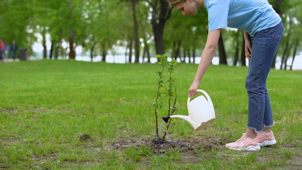 Young Woman With Watering Can Taking Care of Tree