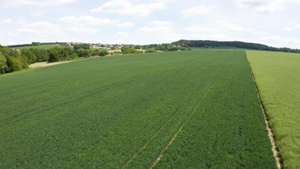 Aerial Drone Shot  a Green Field in a Rural Area  Drone Flies Low Across the Field