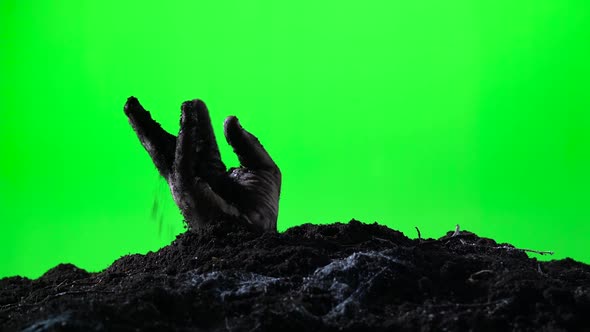 Zombie Hand Emerging From the Ground Grave. Halloween Concept. Green Screen. 009