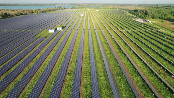 Aerial View of Solar Farm on the Green Field at Sunset Time Solar Panels in Row