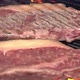 Steak on grill. Grilling on fire meat. Cooking on the fire - VideoHive Item for Sale