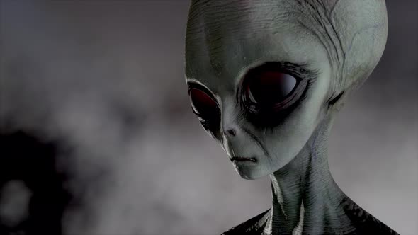 Scary Gray Alien Stands and Looks Blinking on a Dark Smoky Background. UFO Futuristic Concept. 3D alt