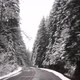 Driving through snow covered trees in slow motion - VideoHive Item for Sale