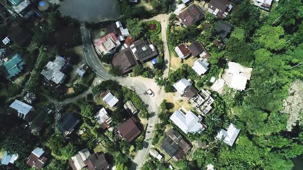 Top down view of village through green tall trees of tropical forest in suburb of India