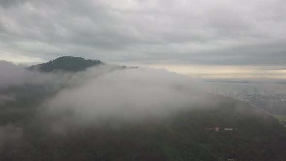 Aerial morning cloud at green forest