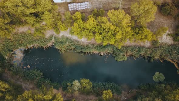 Drone shot over small lake between trees and bushes with reflection of the sky