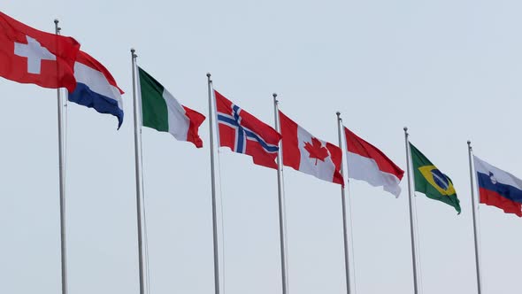 Side View of Different Countries National Flags Waving in the Wind