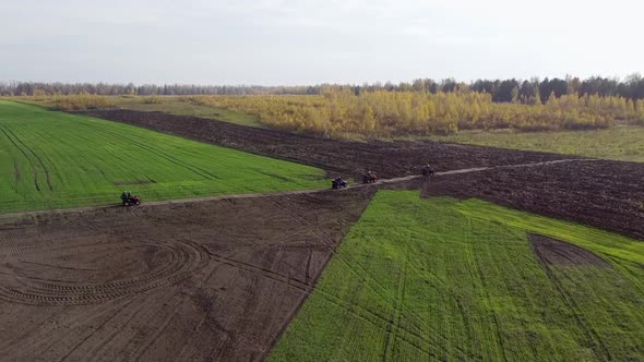 Quad Bike Ride Through the Field Through the Forest Aerial Photography View From Quadcopter