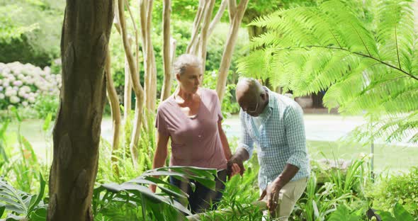 Happy senior diverse couple wearing shirts and working in garden