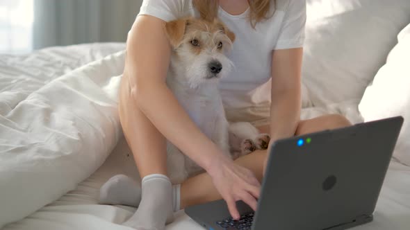 A beautiful girl in casual clothes uses a laptop on the bed