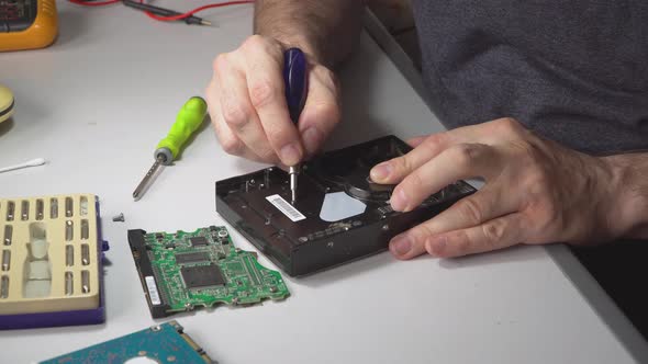 Master Repairs Chip