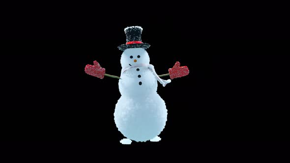 Snowman alt