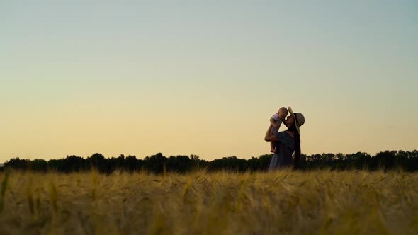 Young mother playing with baby in wheat field at sunset