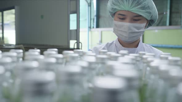 Asian Female supervisor inspecting a bottle of herb drink production line