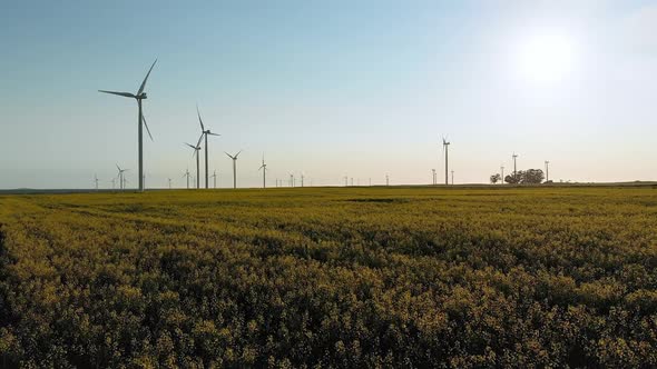 General view of wind turbines in countryside landscape with cloudless sky