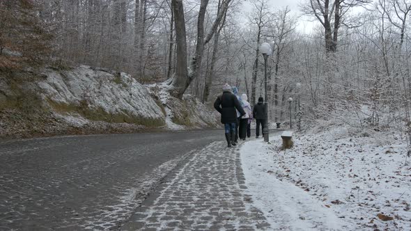 People Walking on a paved road on a winter day